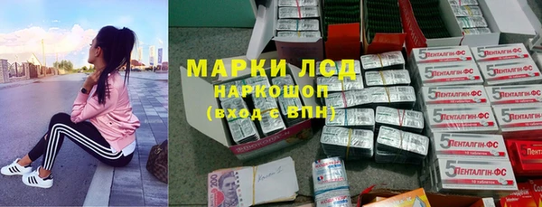 дмт Алзамай