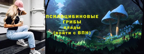 твердый Алексин