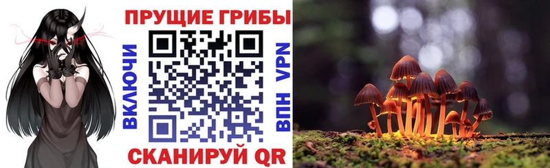 Галлюциногенные грибы Cubensis  Котельнич 